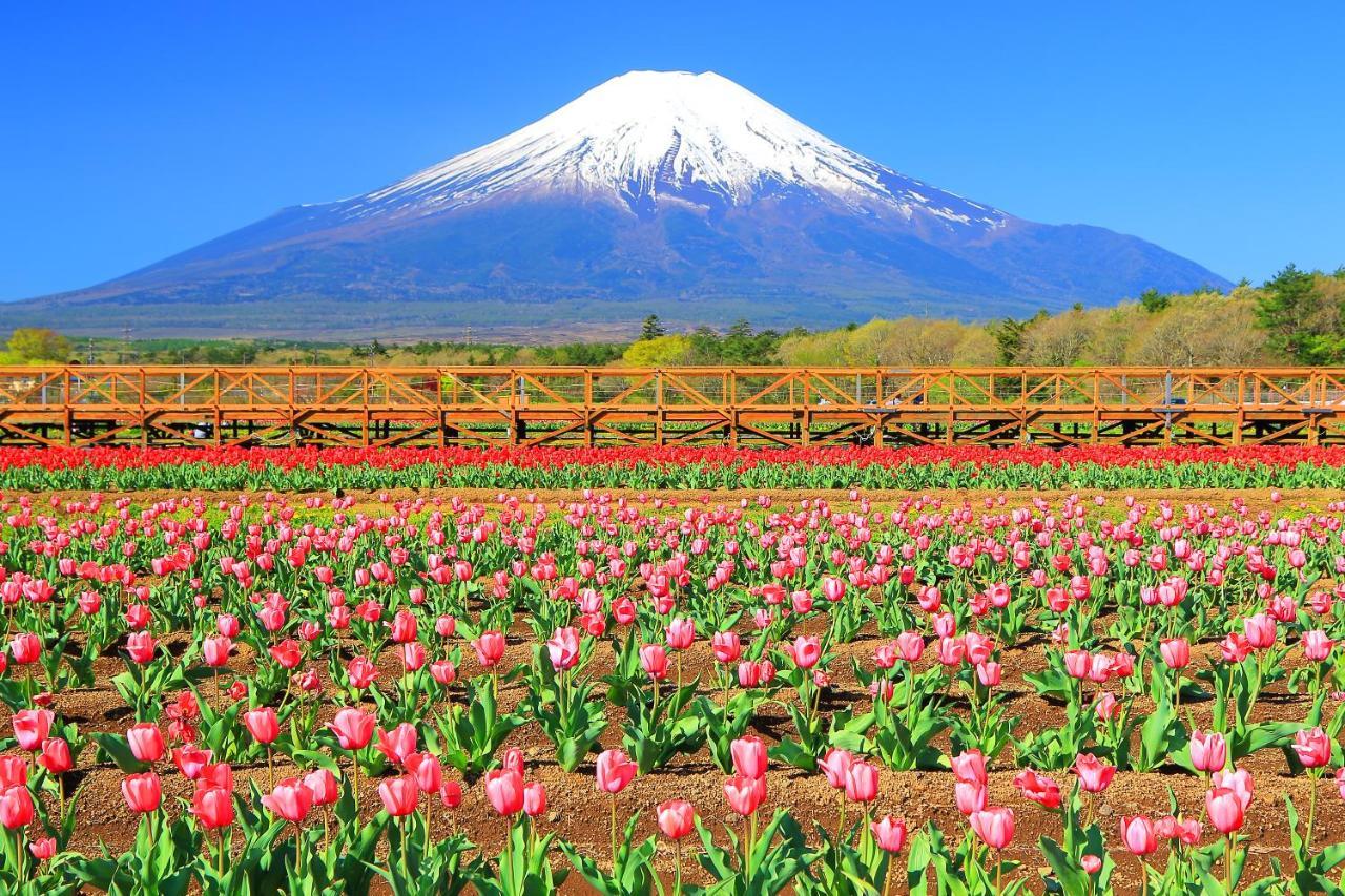 Hatago Tsubakiya Yamanakako Buitenkant foto